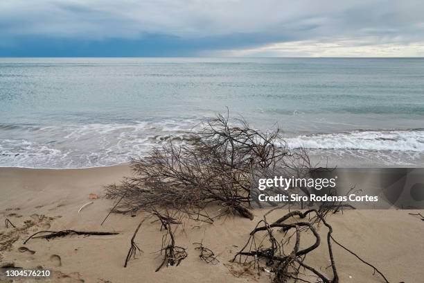 stormy day at beach - incertidumbre stock pictures, royalty-free photos & images