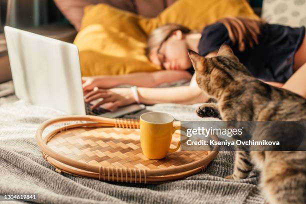 young woman fell asleep at the laptop on the floor - cat bored stock-fotos und bilder