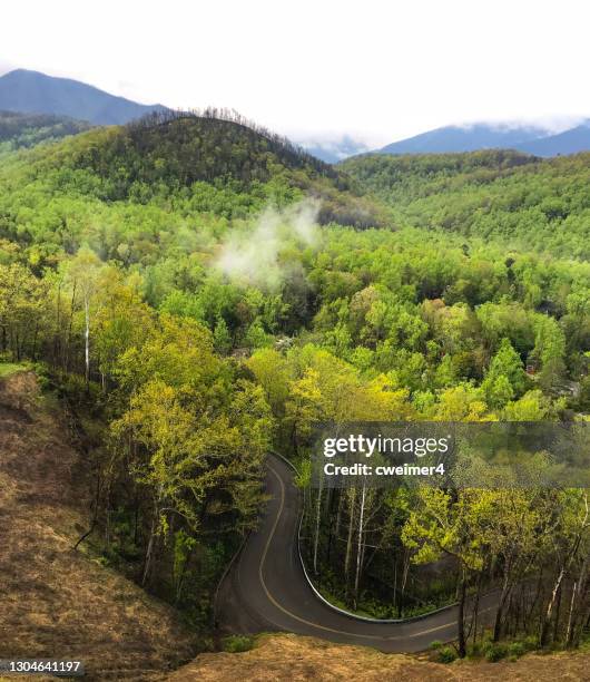 great smokey mountains - tennessee hills stock pictures, royalty-free photos & images