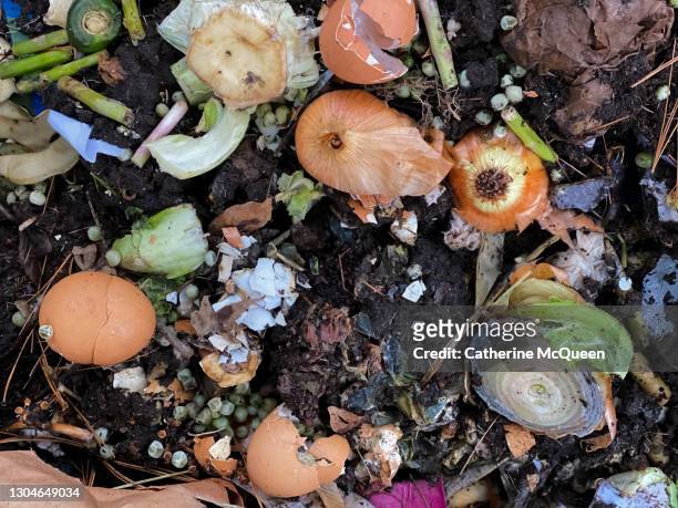 composting time! - compost stockfoto's en -beelden