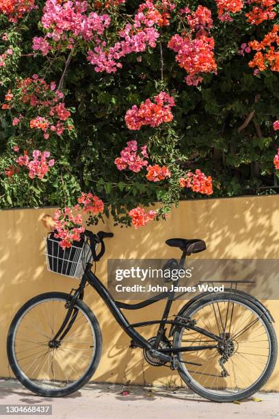 parked ladies bicycle under bougainvillea shrub - estepona stock pictures, royalty-free photos & images