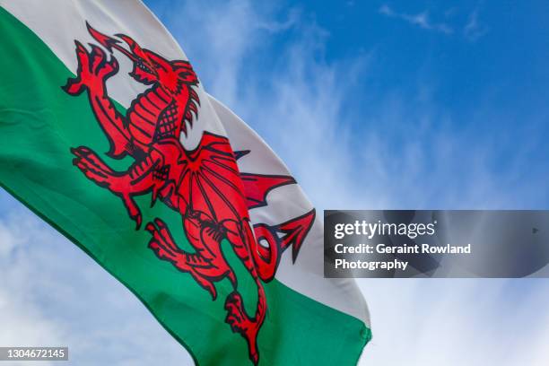 welsh rugby flag - welsh flag - fotografias e filmes do acervo