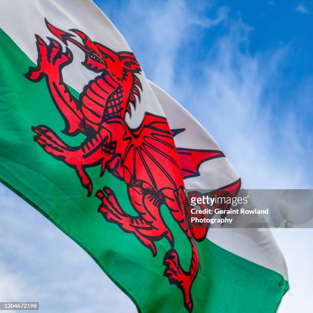red dragon flag - welsh flag 個照片及圖片檔