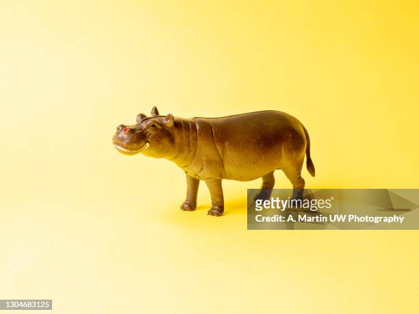 plastic hippopotamus on a yellow background - hippopotame photos et images de collection