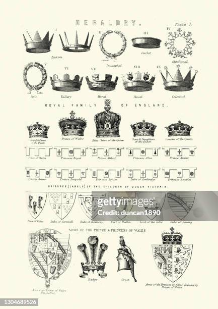 heraldry, examples of heraldic symbols, crowns, shields, victorian - victorian royalty stock illustrations
