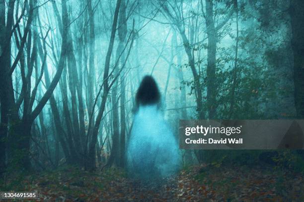 a spooky concept, of a ghostly woman in a long white dress. in a forest. on a foggy winters day. with a grunge, textured edit. - ghost fotografías e imágenes de stock