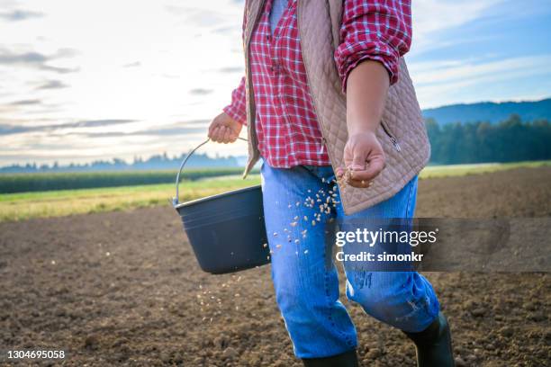 reife weibliche landwirtsäende samen auf dem feld - same person different outfits stock-fotos und bilder