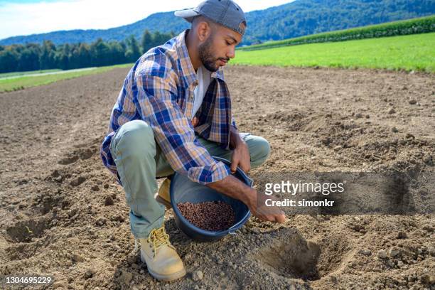 fermier mâle semant des graines dans le domaine - sow photos et images de collection