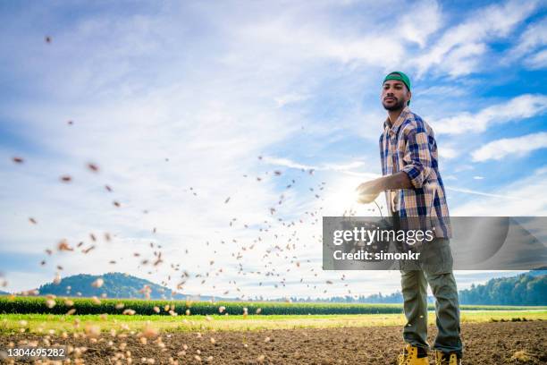agricultor macho sembrando semillas en campo - sembrar fotografías e imágenes de stock