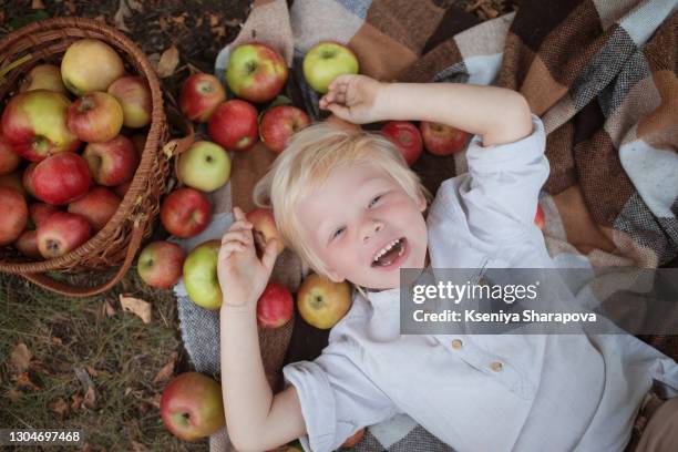 happy little boy picking fresh organic fruit on a farm - stock photo - kids play apple photos et images de collection