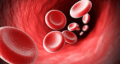 Red Blood cells flow through veins