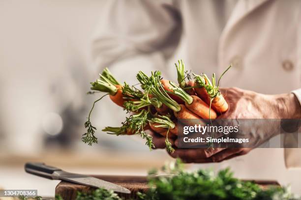 chef in a restaurant kitchen preparing vegetarian meal from carrot. - ingredients kitchen stock pictures, royalty-free photos & images