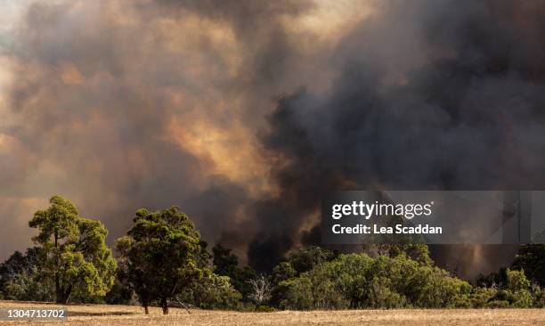 bushfire - australia wildfires stockfoto's en -beelden