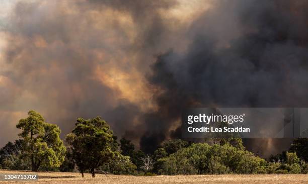 bushfire - australia fire - fotografias e filmes do acervo