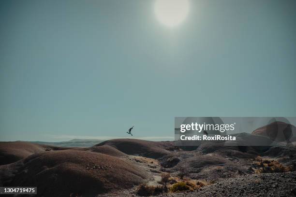 minimalism - man jumping and woman taking photos in silhouette on a mountain in the patagonian desert. - mann schlicht stock-fotos und bilder