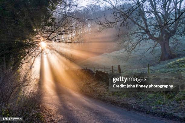 sunrise light through a woodland, castleton, derbyshire, peak district. uk - märz stock-fotos und bilder