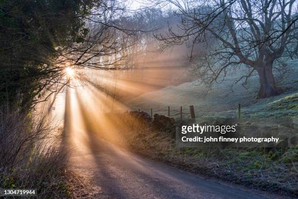sunrise light through a woodland, castleton, derbyshire, peak district. uk - marzo fotografías e imágenes de stock