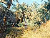 Woman standing under the palm tree  in Siwa oasis