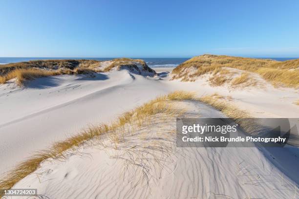 sand dunes - danemark fotografías e imágenes de stock