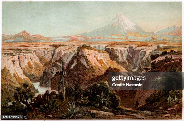 pico de orizaba, also known as "citlaltépetl" , is an inactive stratovolcano, the highest mountain in mexico - cactus landscape stock illustrations