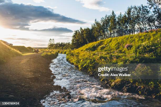 small tree lined river at sunset - rivier gras oever stockfoto's en -beelden