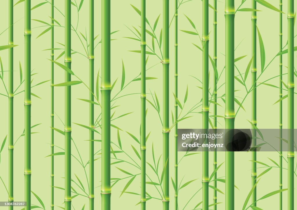 Seamless green bamboo background