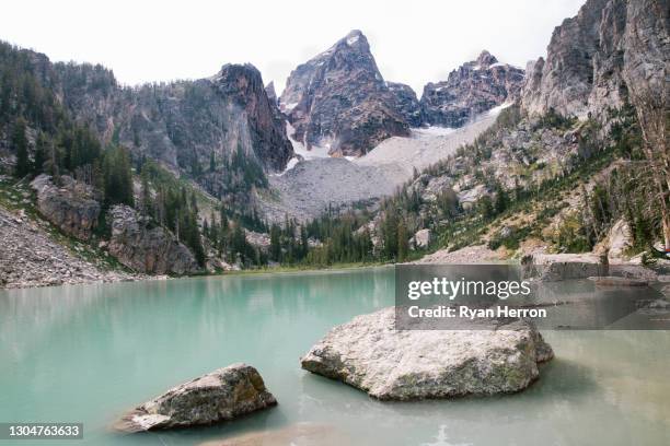 lago delta no parque nacional grand teton - grand teton national park - fotografias e filmes do acervo