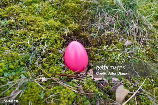 colourful purple easter egg on  the moss in the forest. - ostereier wiese stock-fotos und bilder
