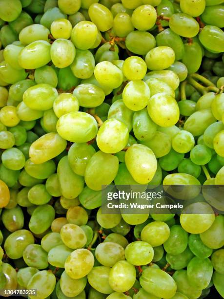 green grapes in the supermarket - bund stock-fotos und bilder