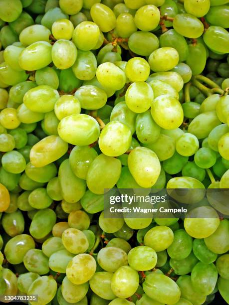 green grapes in the supermarket - white grape stock pictures, royalty-free photos & images