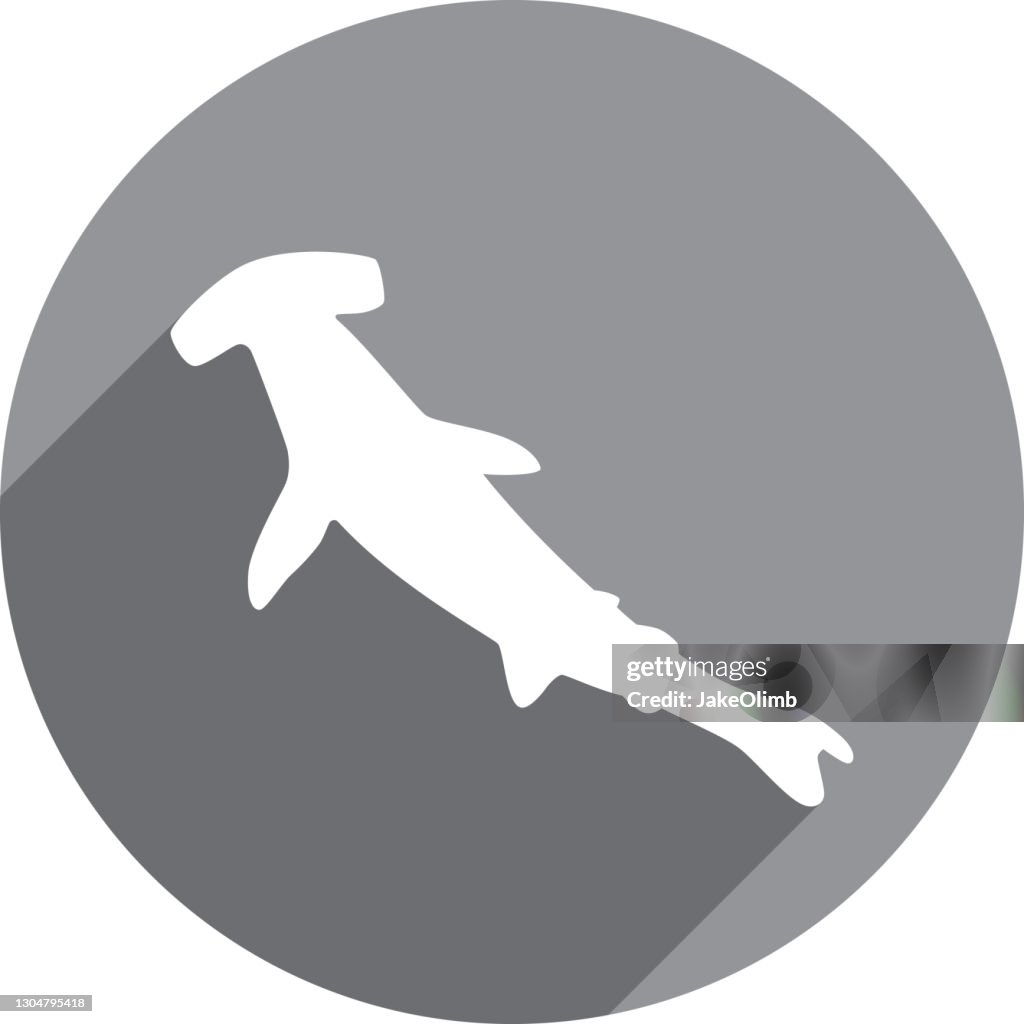 Hammerhead Shark Icon Silhouette 2