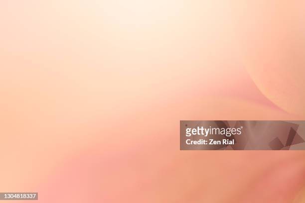 pinkish peach colored orchid flower with hints of petal edges - peach tranquility stock pictures, royalty-free photos & images