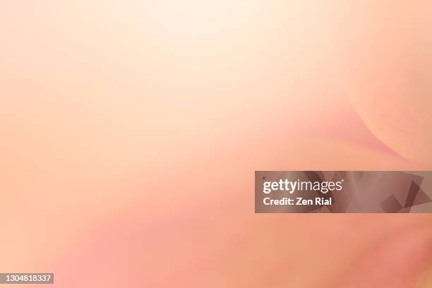 pinkish peach colored orchid flower with hints of petal edges - coral colored imagens e fotografias de stock