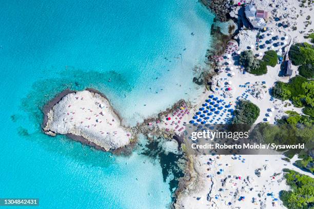 punta della suina beach by turquoise sea, apulia - gallipoli 個照片及圖片檔