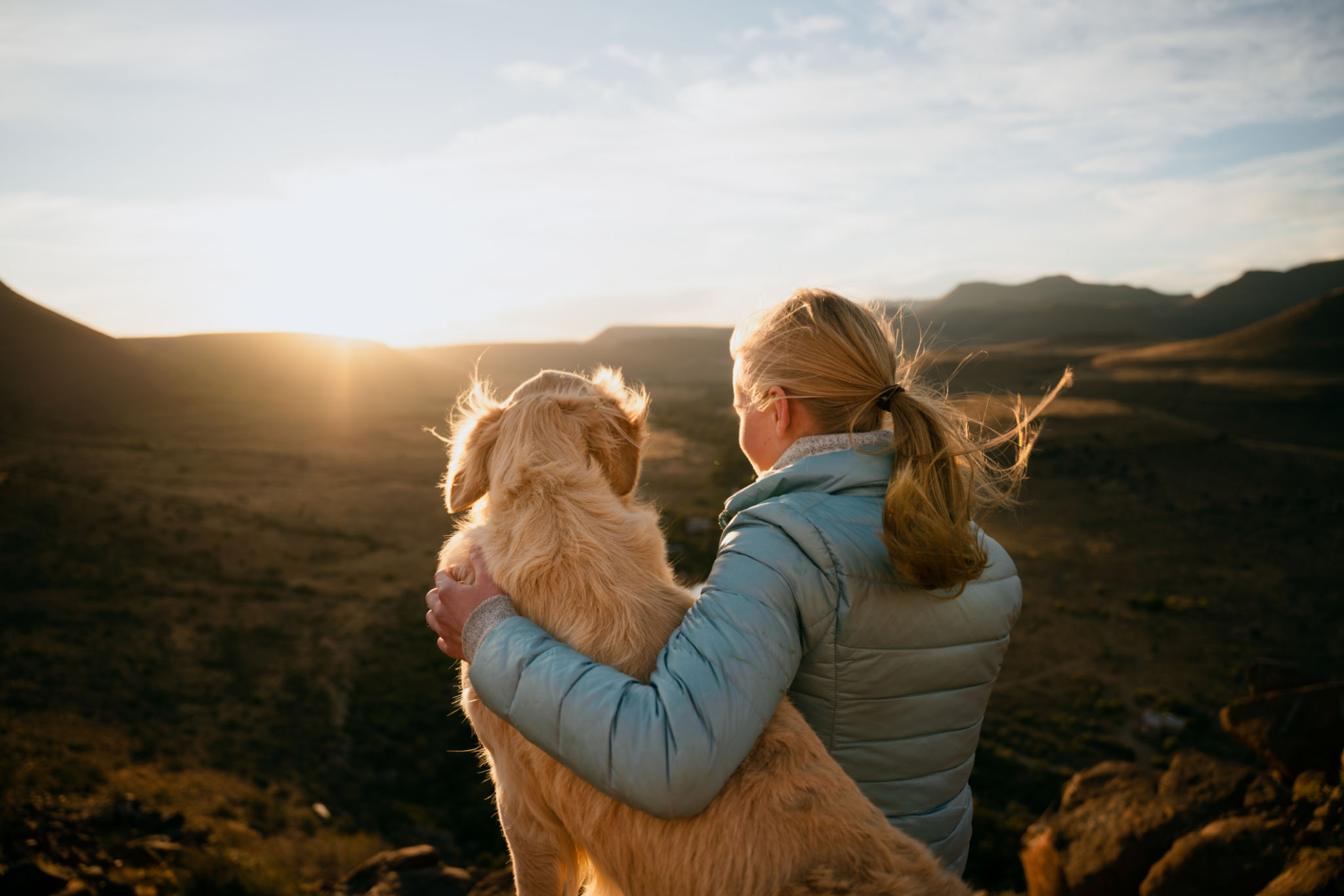 Caucasian young teen hugging golden puppy while gazing into horizon during vibrant sunset Caucasian young teen hugging golden puppy while gazing into horizon during vibrant sunset