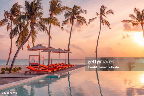 03.august.2019 - maldives, dhaalu atoll, iru veli island: luxurious beach resort with sunset swimming pool reflection and beach chairs or loungers under umbrellas with palm trees and colorful twilight sky. summer island travel and vacation scenic - reflection pool - fotografias e filmes do acervo