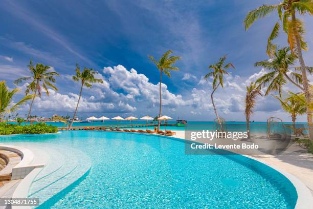 05.august.2019 - maldives, dhaalu atoll, iru veli island: luxurious beach resort with swimming pool and beach chairs or loungers under umbrellas with palm trees and blue sky. summer island travel and vacation scenic - luxury hotel island stock-fotos und bilder