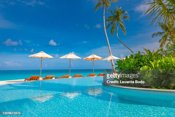 05.august.2019 - maldives, dhaalu atoll, iru veli island: luxurious beach resort with swimming pool and beach chairs or loungers under umbrellas with palm trees and blue sky. summer island travel and vacation scenic - beach holiday stock-fotos und bilder