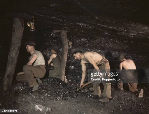 Four coal miners use pick axes and shovels to remove coal from a seam at the pit face of Cannop Coal Company's Cannop Colliery near Coleford in the...
