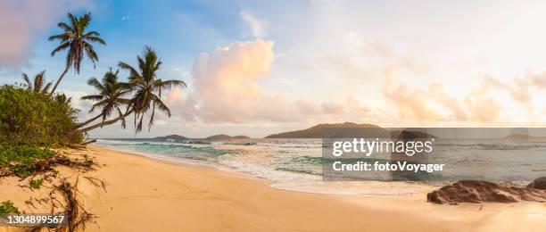 surfen lappen auf idyllischen palmen strand tropischen insel panorama - einsame insel stock-fotos und bilder