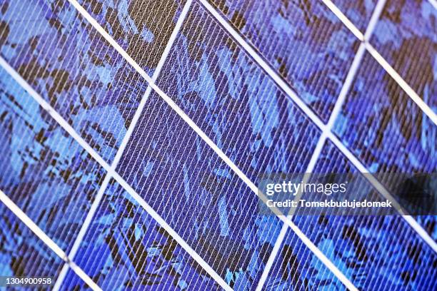 58 Cell (Microprocessor) Stock Photos, High-Res Pictures, and Images ...