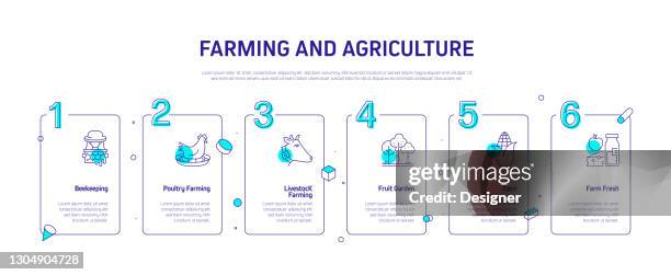 stockillustraties, clipart, cartoons en iconen met landbouw en landbouw gerelateerde proces infographic sjabloon. procestijdlijndiagram. werkstroomlay-out met pictogrammen - livestock infograph