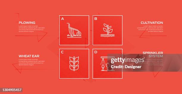 landwirtschaftliche und landwirtschaftliche prozess-infografik-vorlage. prozesszeitleistendiagramm. workflow-layout mit icons - livestock infograph stock-grafiken, -clipart, -cartoons und -symbole