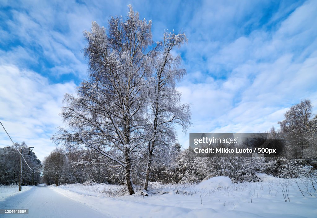 Trees on snow covered field against sky,Vaasa,Finland