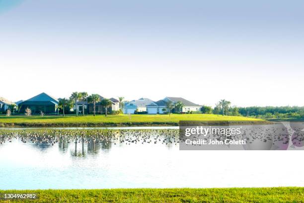 bradenton, florida, housing development, lakefront - bradenton stockfoto's en -beelden
