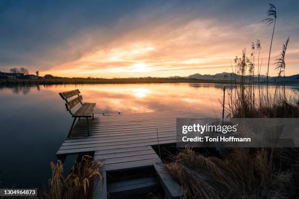 lonely bench at lake chiemsee at sunrise - chiemsee photos et images de collection