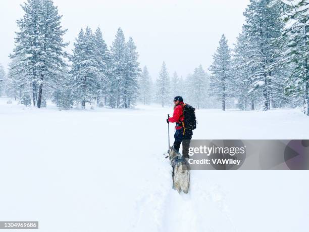 backcountry skiing with best friend in lake tahoe region - lake tahoe skiing stock pictures, royalty-free photos & images