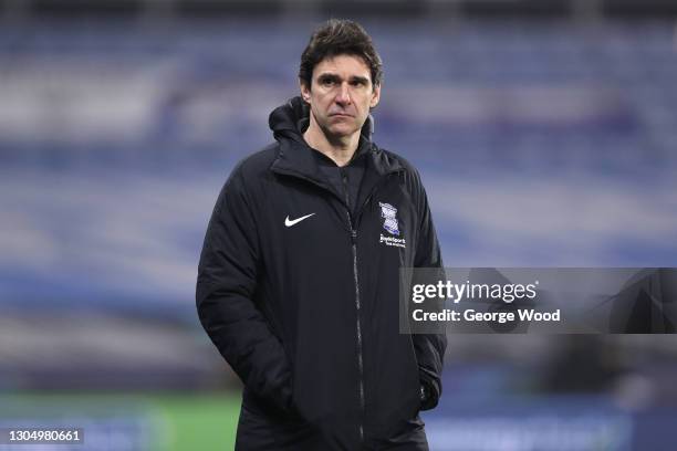 Aitor Karanka, Manager of Birmingham City looks on during the Sky Bet Championship match between Huddersfield Town and Birmingham City at John...