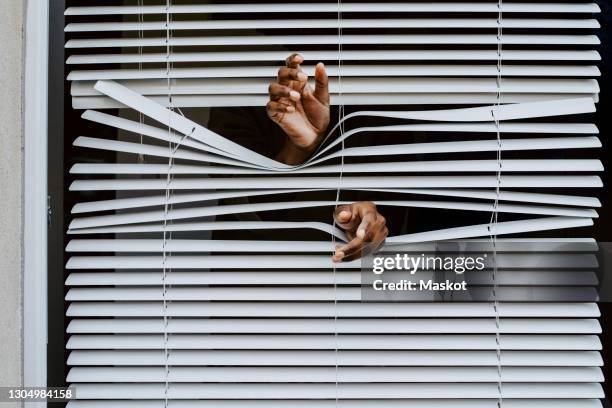 young man's hands out of window blinds - lameller bildbanksfoton och bilder