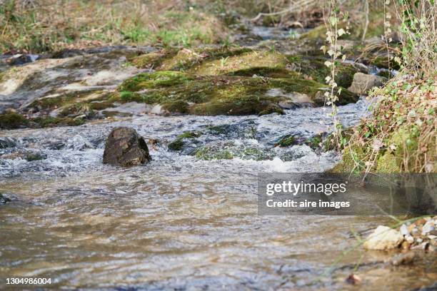 Ultzama Photos and Premium High Res Pictures Getty Images